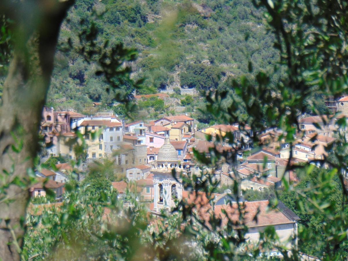 Divino * Villa Viani