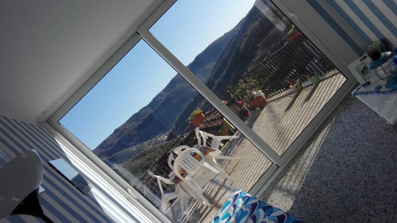 Divino Apartment *