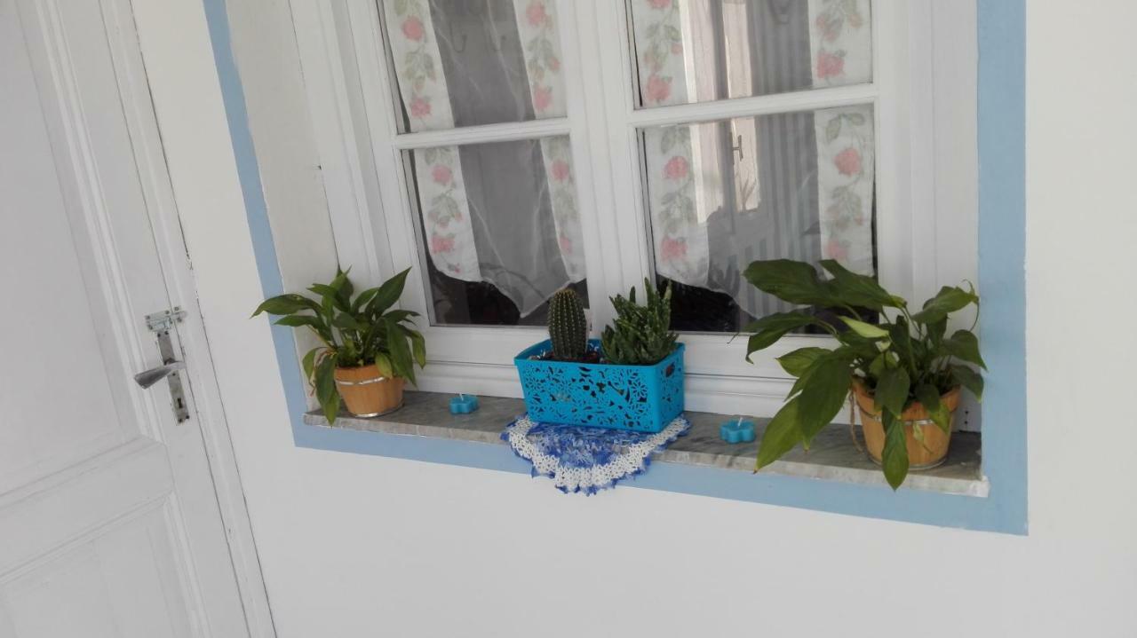 Apartment Divino
