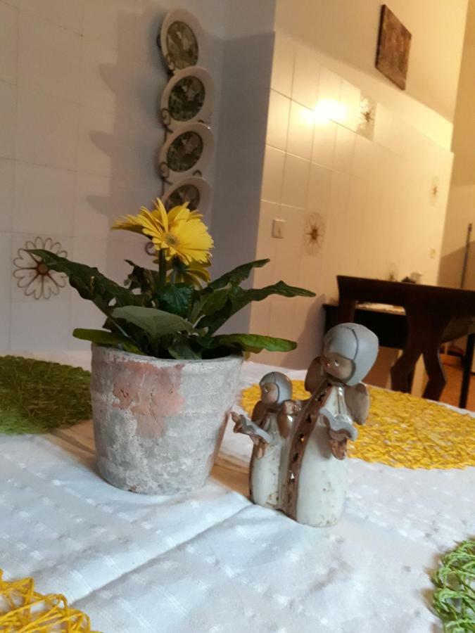 Divino Apartment *