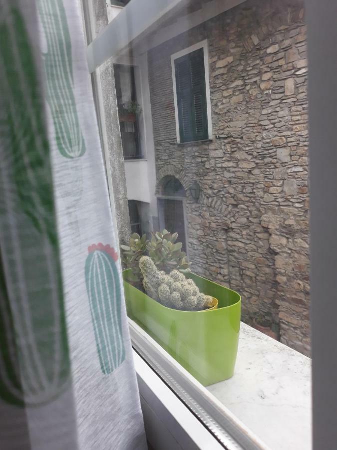 Apartment Divino